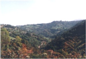 Vista parcial del valle del Candin(Saus al fondo)