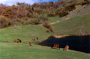 Laguna en el Ciacal