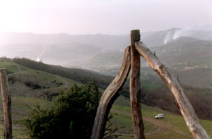 La felguera desde La Braña